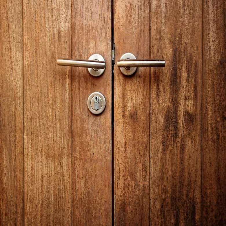 Veneer Doors