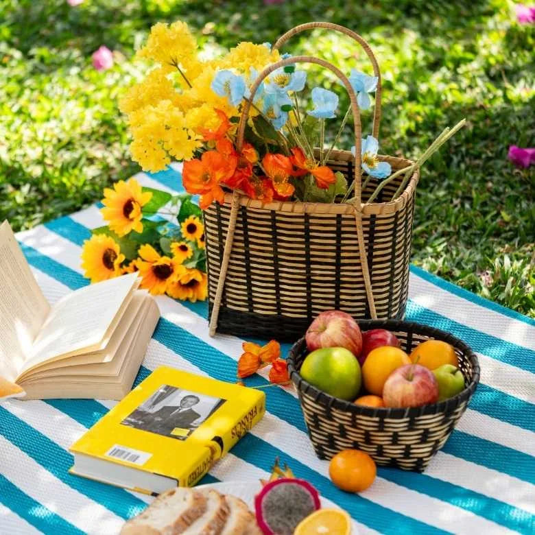 Hosting Themed Picnic Party for International Picnic Day