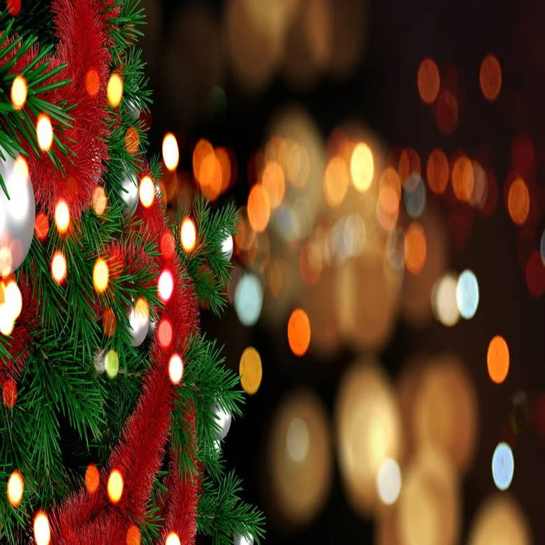 Indoor vs Outdoor Christmas Lights