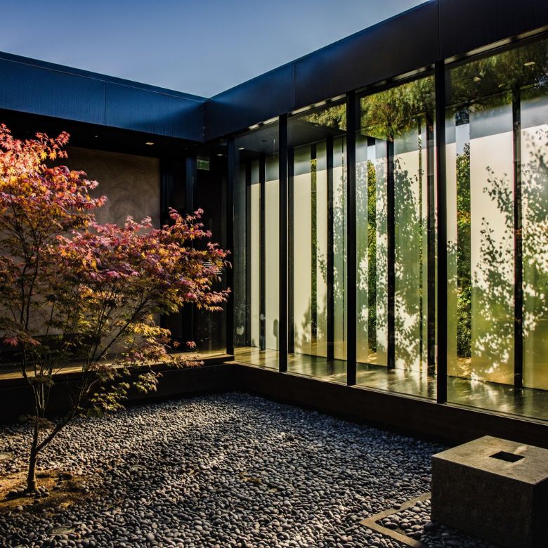 What is Solarium and How Can It Enhance Your Interior Design?