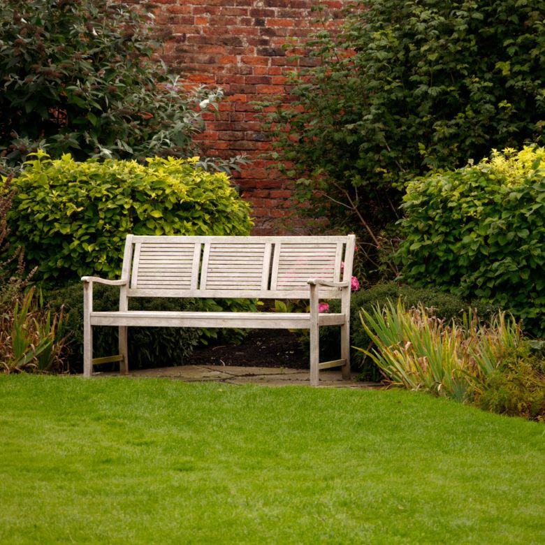 How to Beautify Your Home Garden