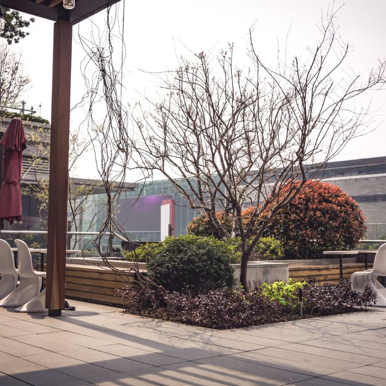 Transform Your Rooftop with Effective Terrace Garden Ideas