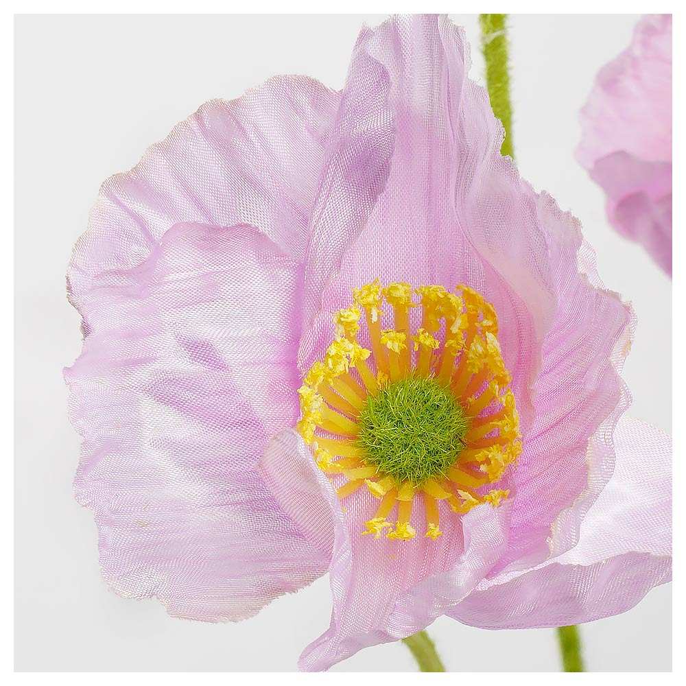 Buy Zailey Artificial Flower Online at Best Price | metercube