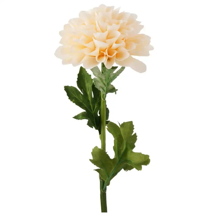 Peony