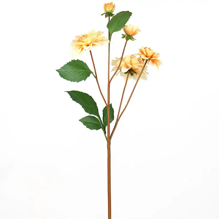 Ikal