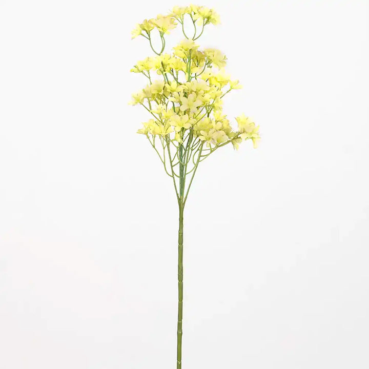 Bieta